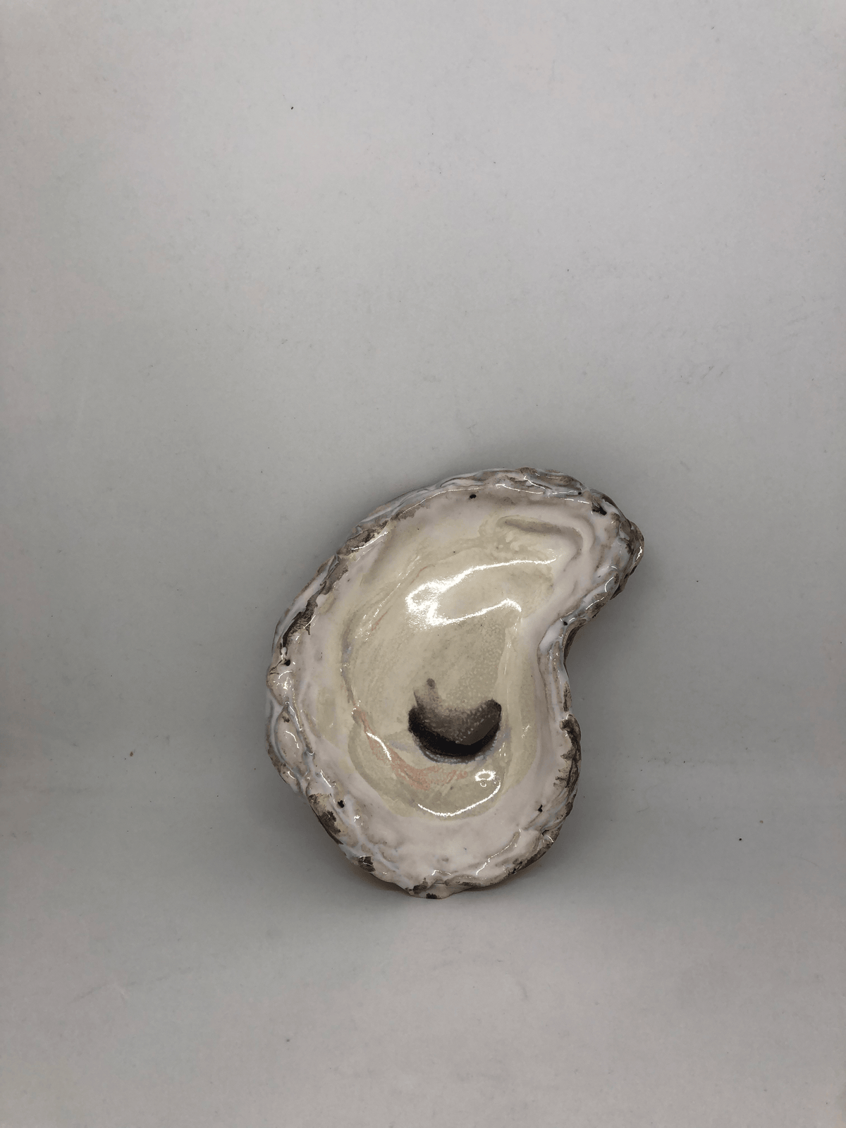 Seagem Studios - Oyster Beauty Large - Little Miss Muffin Children & Home