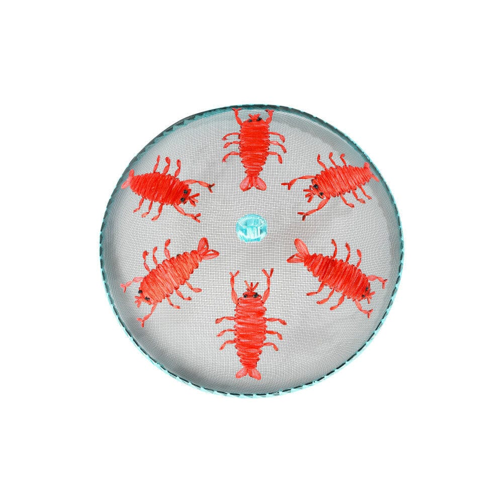 Creative Co-op Creative Co-op Wire Mesh Food Cover with Shrimp - Little Miss Muffin Children & Home