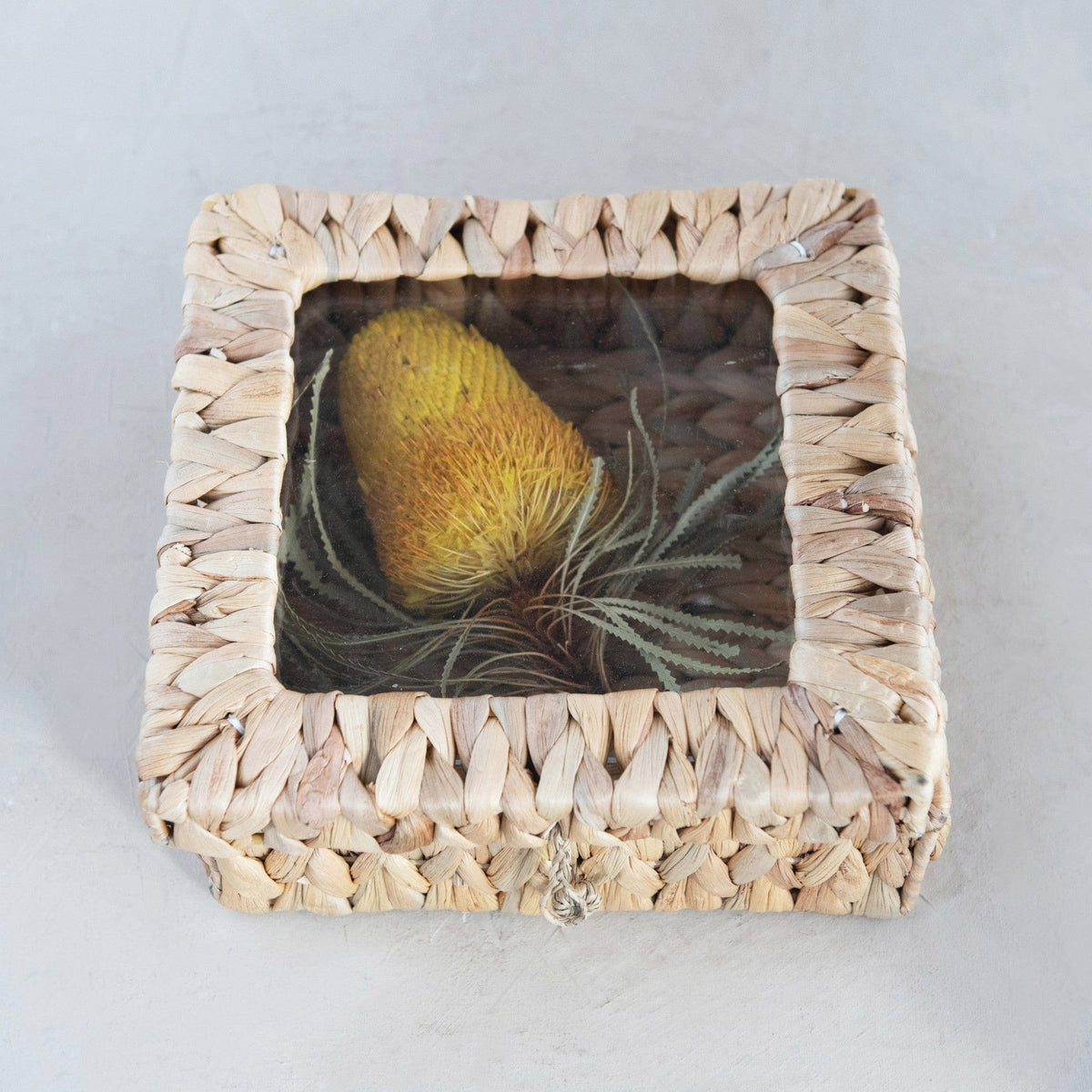 Creative Co-op Creative Co-op Hand-Woven Display Box - Little Miss Muffin Children & Home