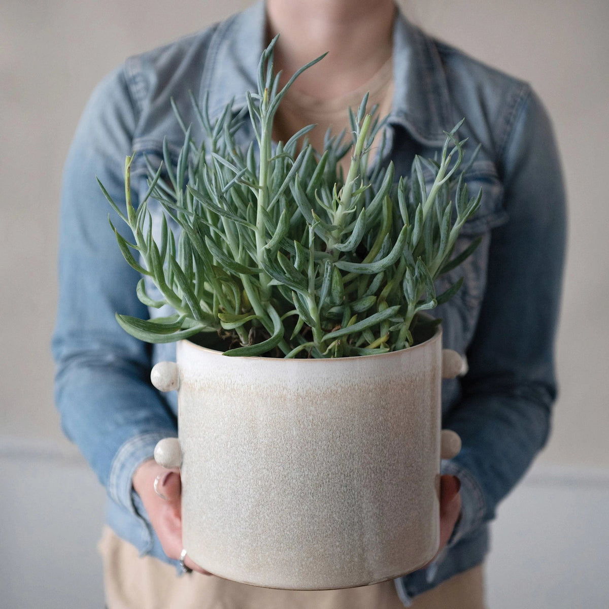 Creative Co-op Creative Co-op Stoneware Planter, Cream Reactive Glaze - Little Miss Muffin Children & Home