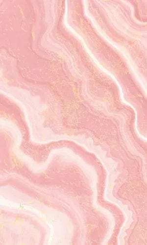 Baker & Taylor Baker & Taylor Pink Agate (Blank Lined Journal) - Little Miss Muffin Children & Home