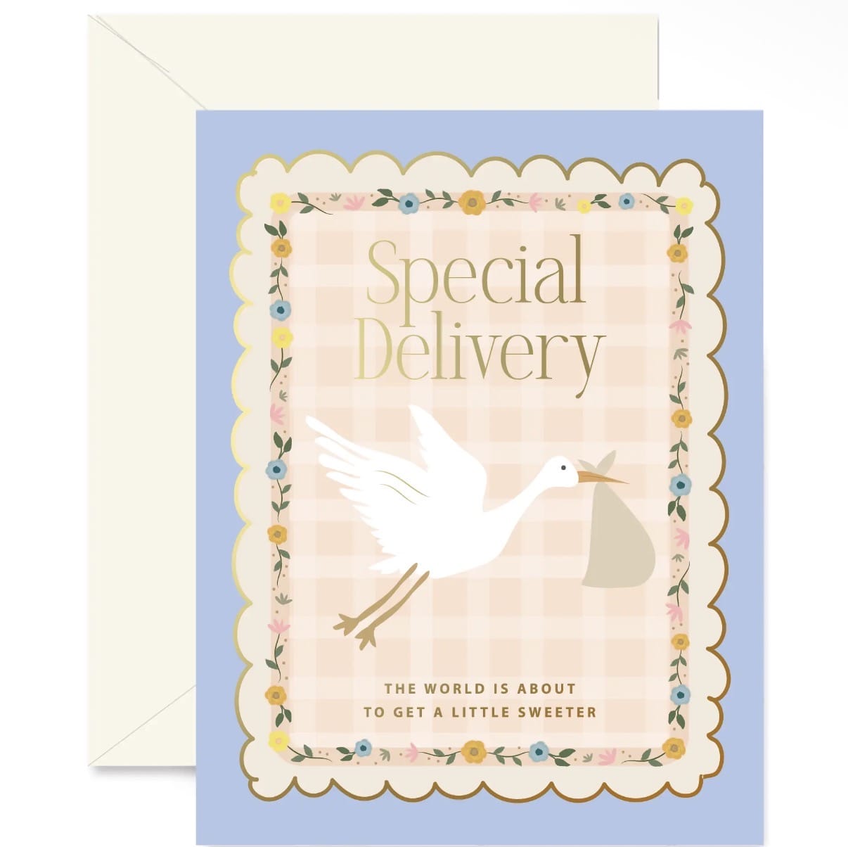 Stork Special Delivery Greeting Card
