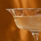 Teaspressa Teaspressa Crystal Champagne Cocktail Kit - Little Miss Muffin Children & Home