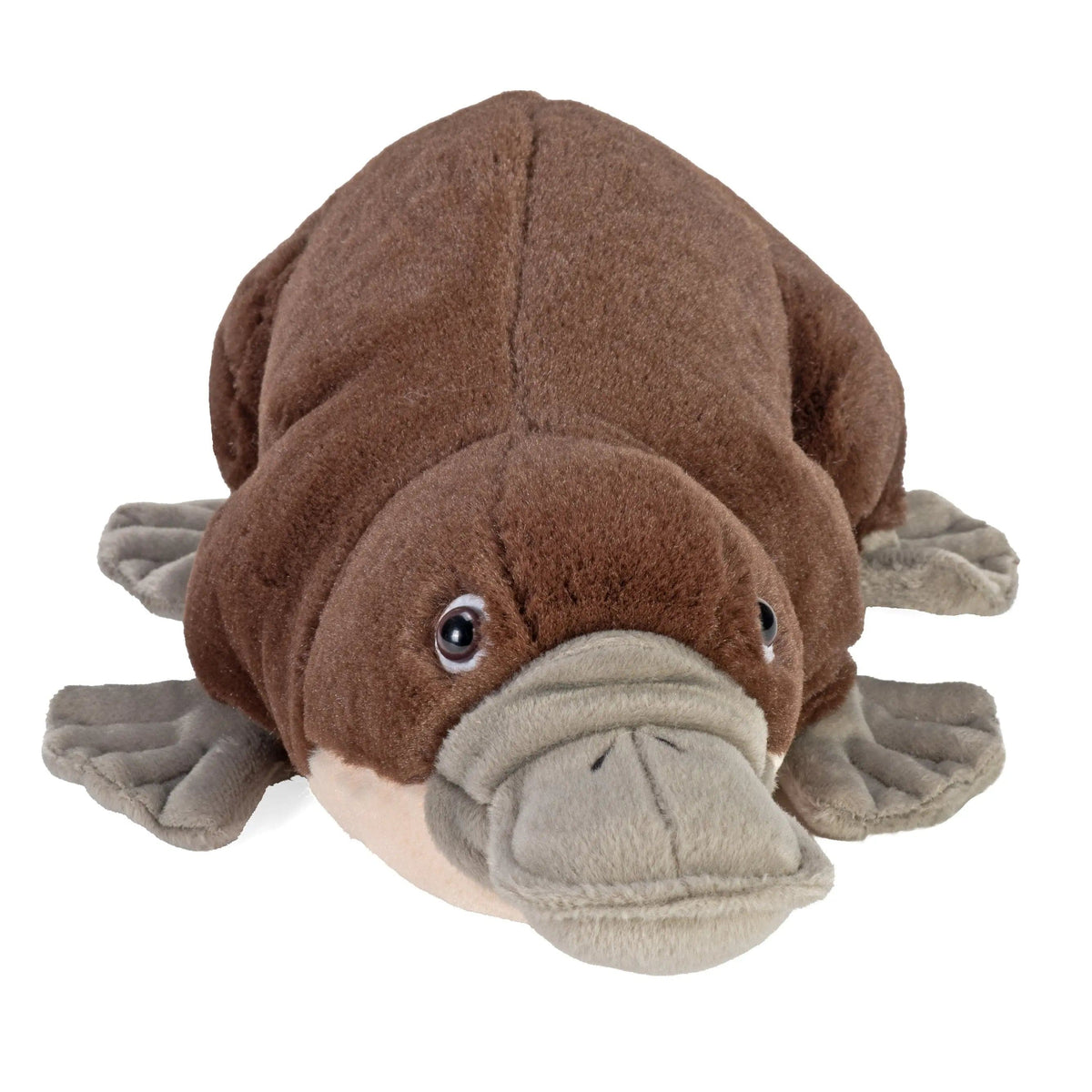 Cuddlekins Platypus
