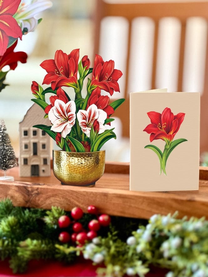 FreshCut Paper FreshCut Paper Mini Scarlett Amaryllis Pop-Up Greeting Card - Little Miss Muffin Children & Home