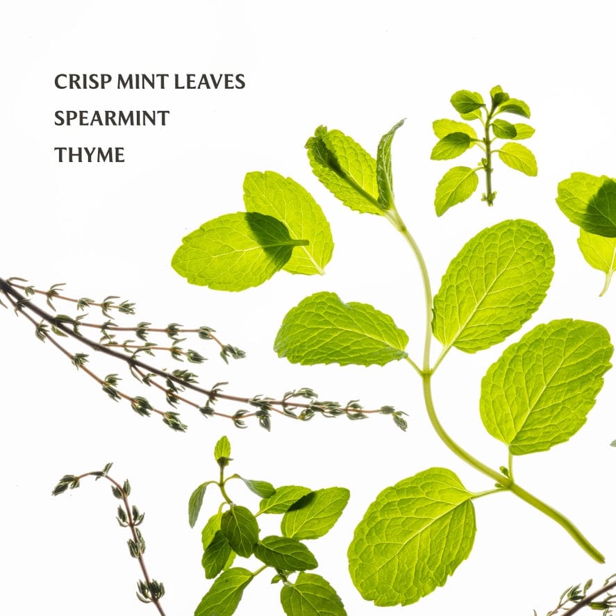 Touchland Frosted Mint Power Mist Hydrating Hand Sanitizer - Little Miss Muffin Children & Home