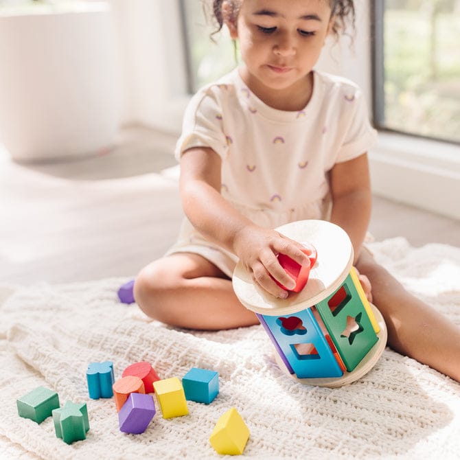 Shape Sorter Developmental Recolor