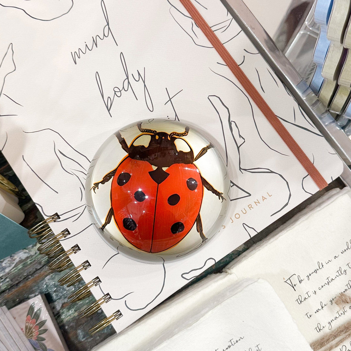 Ladybug Paperweight