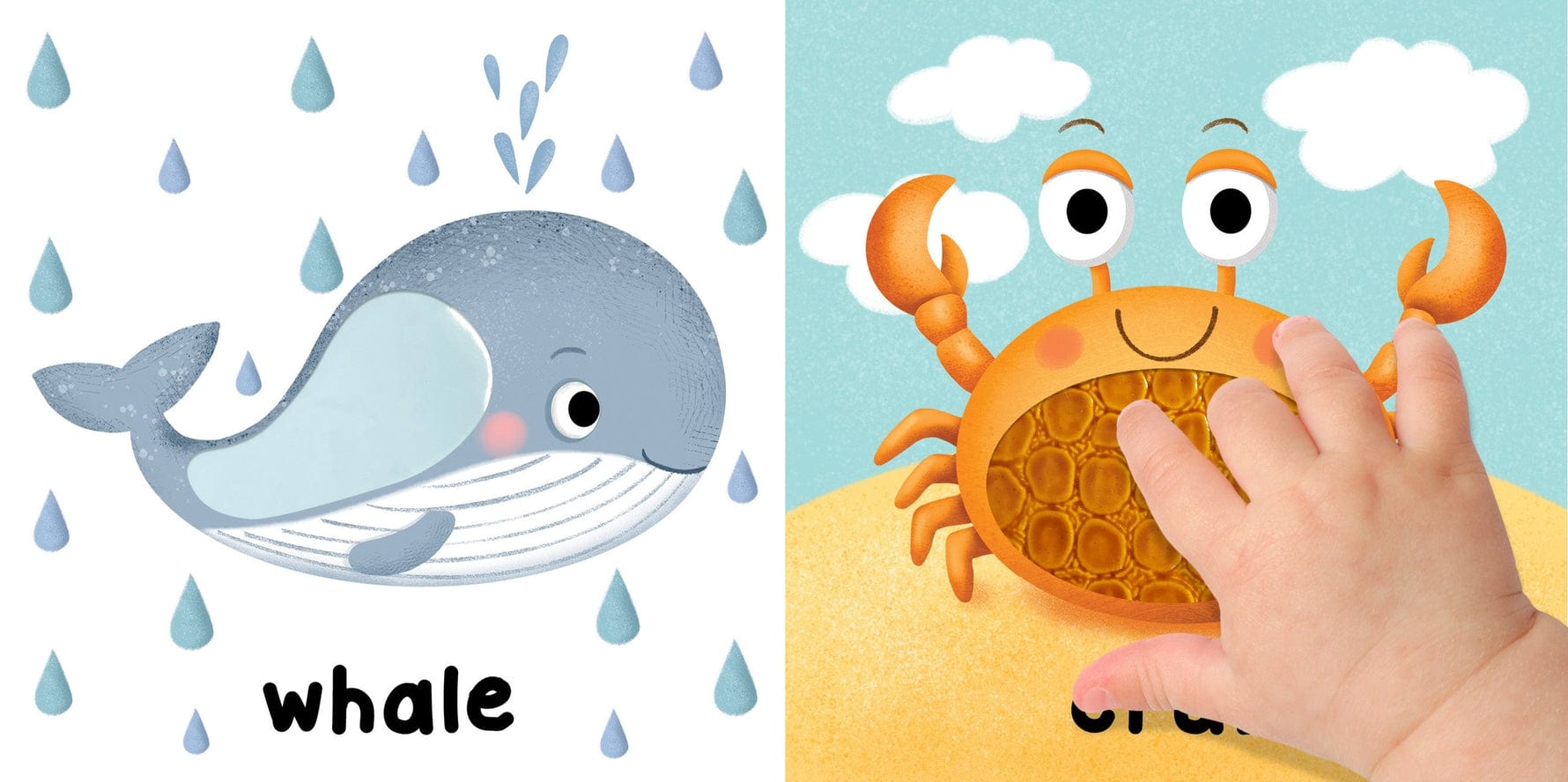 Little Hippo Books Brilliant Baby: In the Ocean - Children's Touch and Feel and Learn Sensory Board Book - Little Miss Muffin Children & Home