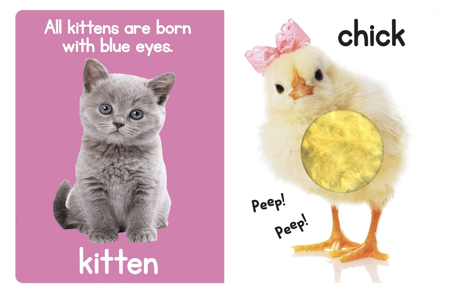 Little Hippo Books Adorable Animals a Touch & Feel Interactive Book - Little Miss Muffin Children & Home