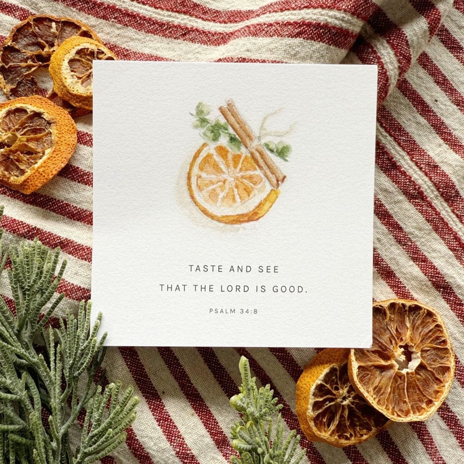 Emily Lex Studio Emily Lex Studio Truth for Today Christmas Scripture Cards, 31PK - Little Miss Muffin Children & Home
