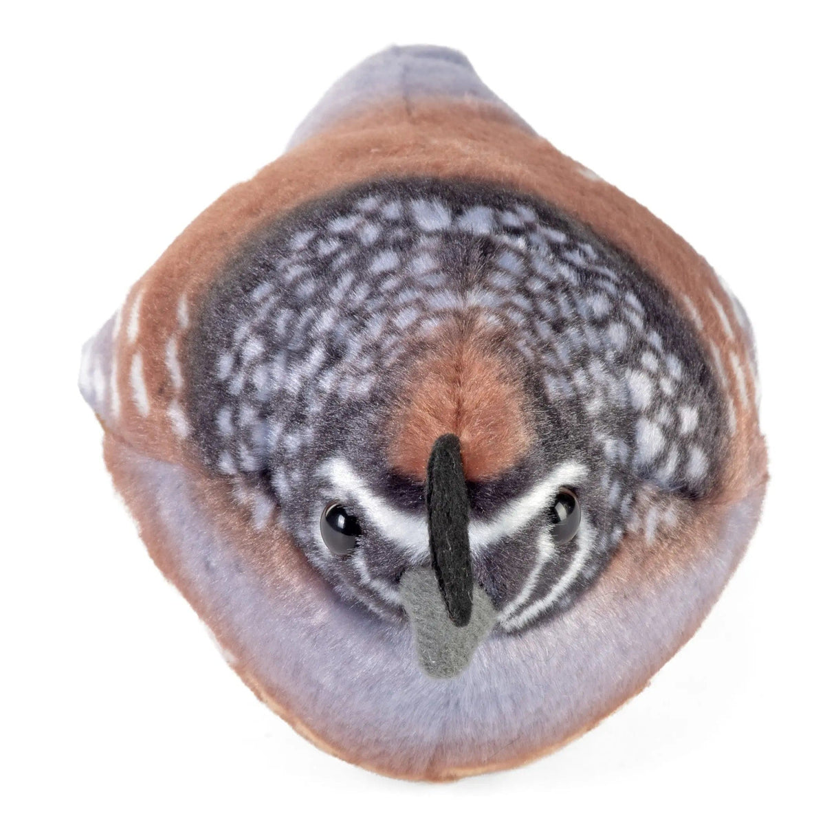 Wild Republic Audubon Birds California Quail Plush, view 2