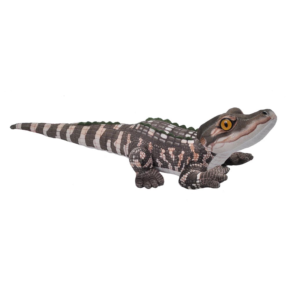 Wild Republic Living Mini Alligator Baby - Little Miss Muffin Children & Home