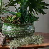 Abigail's Feathered Bowl In Green/Grey