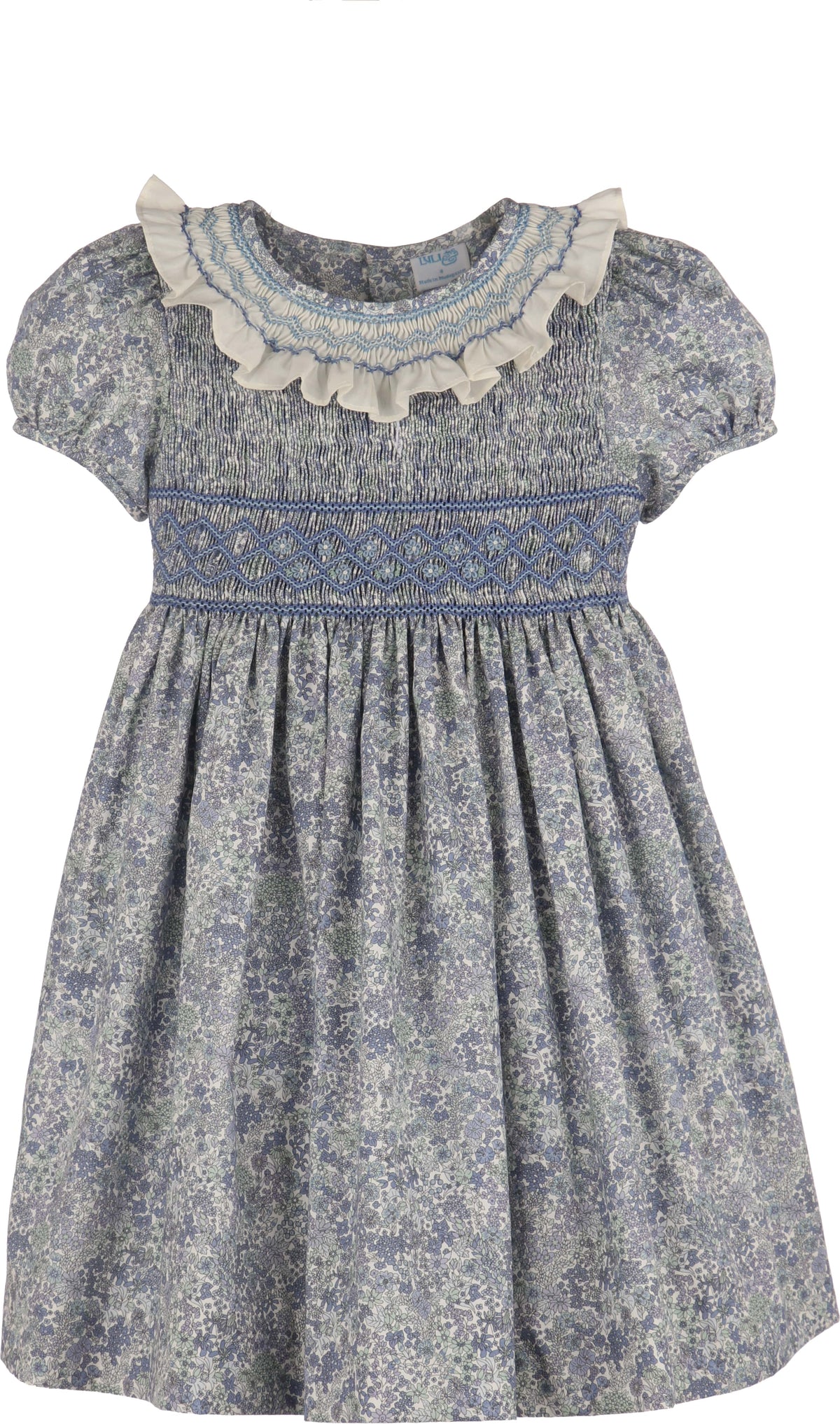 Blue Fall Bloom Collar Dress