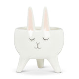 Abbott Abbott Rabbit Planter - Little Miss Muffin Children & Home