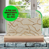 Dan&Darci Ant Farm Kit For Kids, Sand Habitat, Includes Ant Voucher