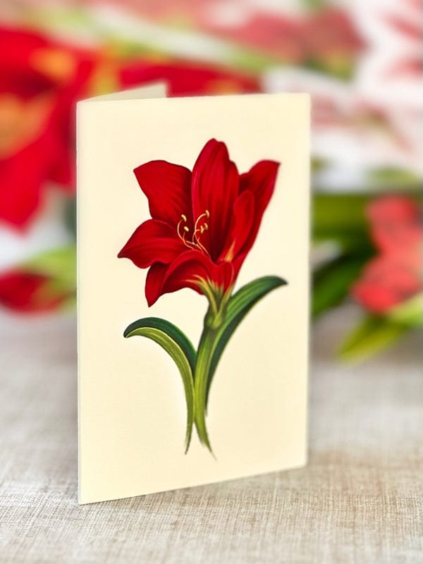 FreshCut Paper FreshCut Scarlet Amaryllis Pop-Up Greeting Card - Little Miss Muffin Children & Home