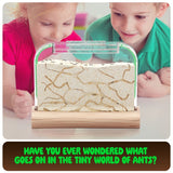 Dan&Darci Ant Farm Kit For Kids, Sand Habitat, Includes Ant Voucher