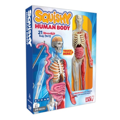 Smart Lab Toys Smart Lab Toys Squishy Human Body - Little Miss Muffin Children & Home