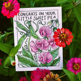 Mattea Mattea Congrats On Your Little Sweet Pea Card - Little Miss Muffin Children & Home