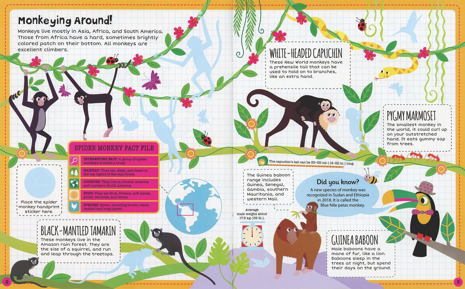 EDC Publishing Jungle, Sticker Facts - Little Miss Muffin Children & Home