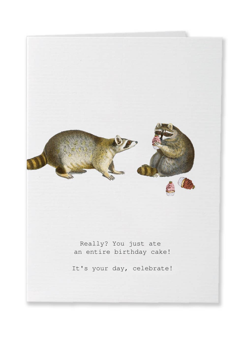Margot Elena TokyoMilk Card Raccoons Your Day Greeting Card - Little Miss Muffin Children & Home