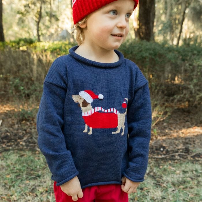 Bailey Boys Bailey Boys Roll Neck Sweater -Santa Doxie on Navy - Little Miss Muffin Children & Home