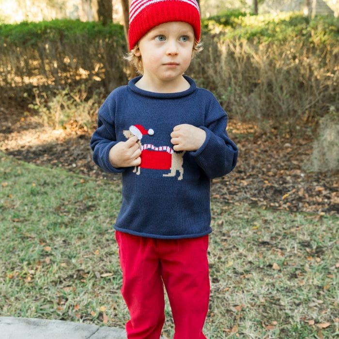 Bailey Boys Bailey Boys Roll Neck Sweater -Santa Doxie on Navy - Little Miss Muffin Children & Home