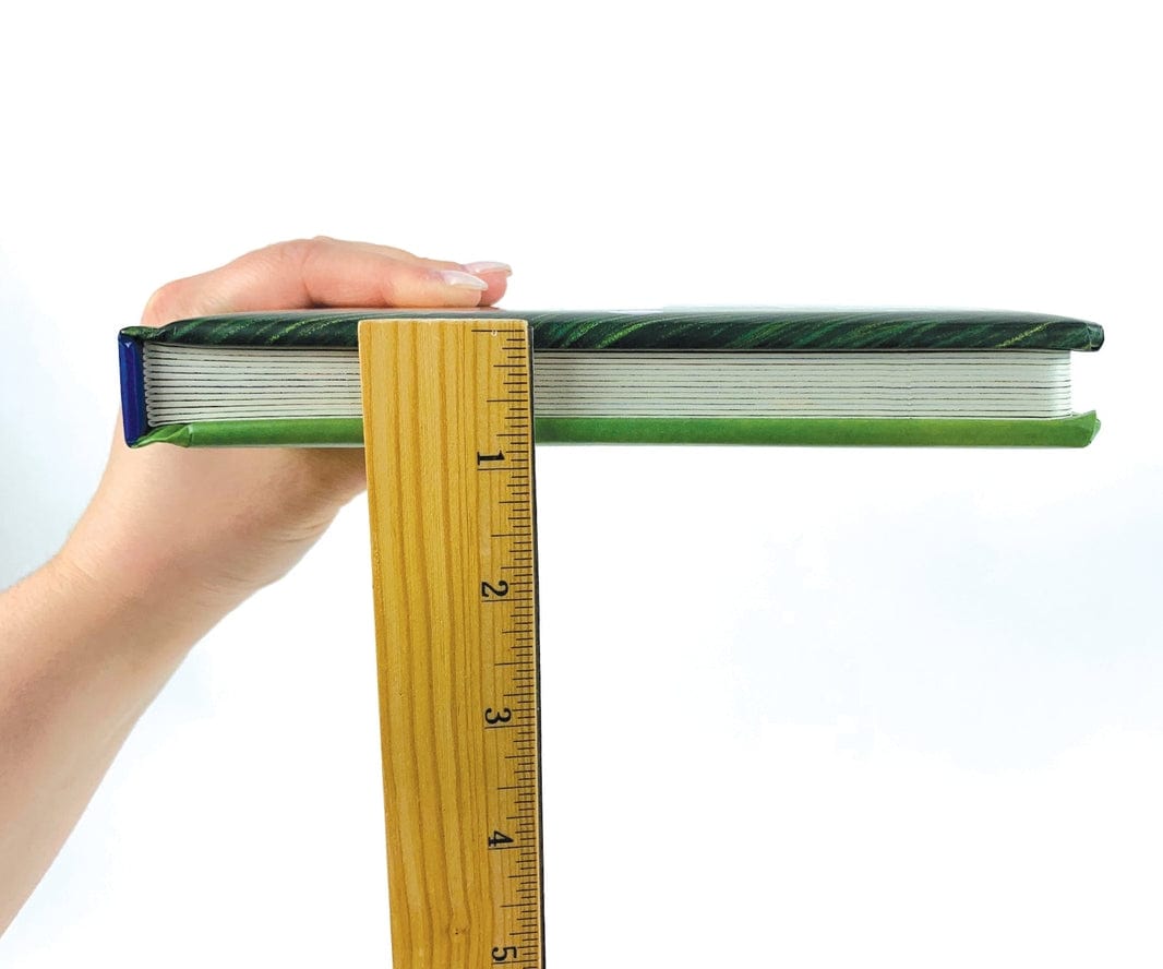 Little Hippo Books Five Little Dinosaurs - Chunky Padded Board Book - Little Miss Muffin Children & Home