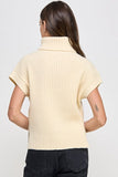 Ellison Sleeveless Turtle Neck Sweater