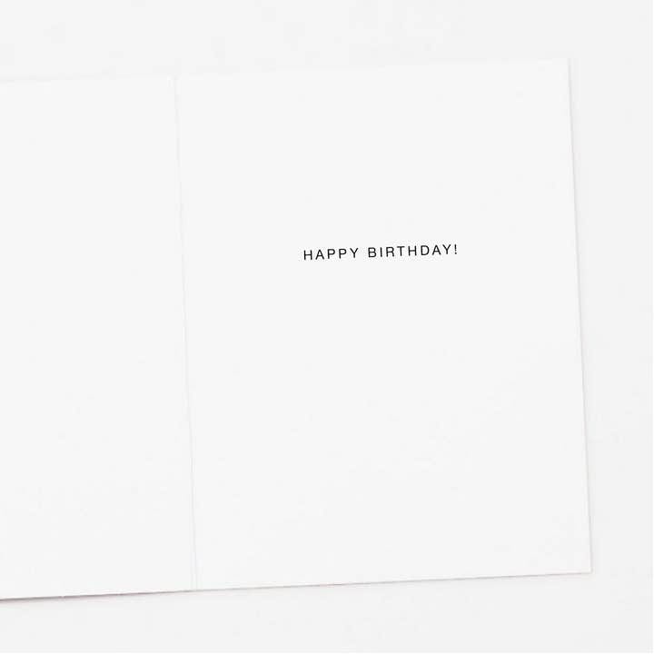 Apartment 2 Cards DJ Party Cat, Birthday Greeting Card - Little Miss Muffin Children & Home