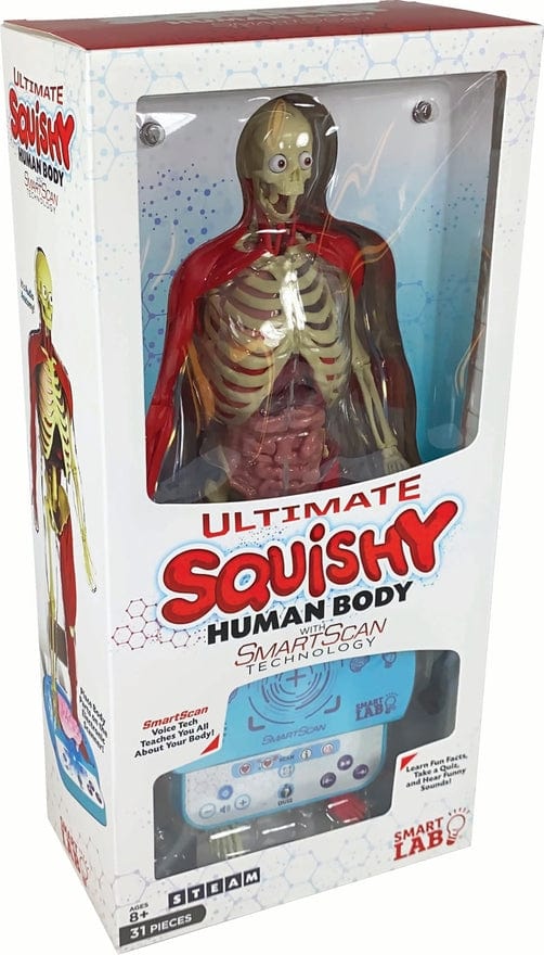 EDC Publishing Ultimate Squishy Human Body Lab - Little Miss Muffin Children & Home