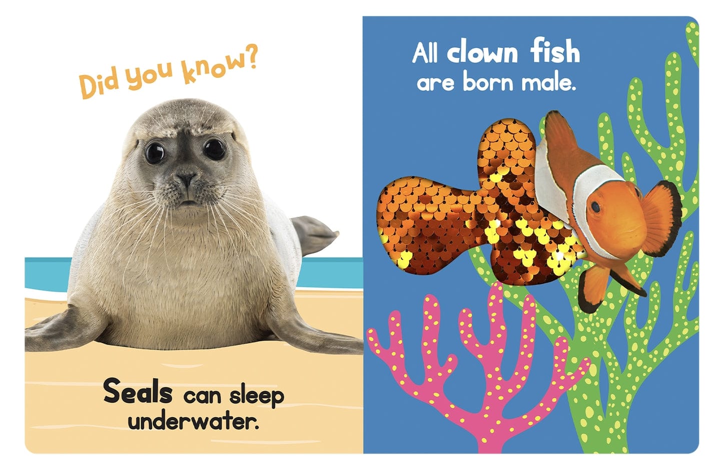 Little Hippo Books Ocean Friends a Touch & Feel Interactive Book - Little Miss Muffin Children & Home