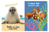 Little Hippo Books Ocean Friends a Touch & Feel Interactive Book - Little Miss Muffin Children & Home