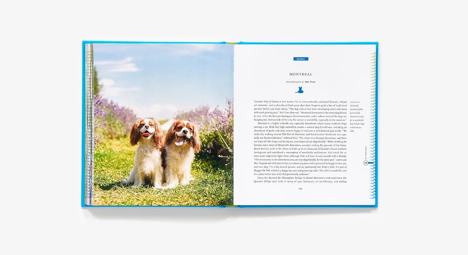 Hachette Book Group Fifty Places to Travel with Your Dog Before You Die - Little Miss Muffin Children & Home