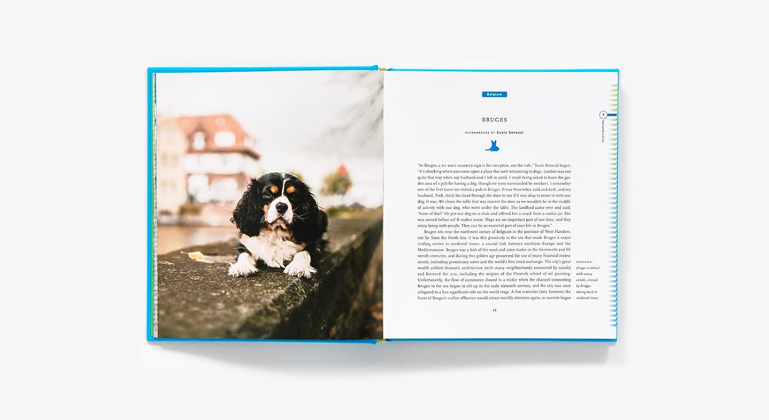 Hachette Book Group Fifty Places to Travel with Your Dog Before You Die - Little Miss Muffin Children & Home