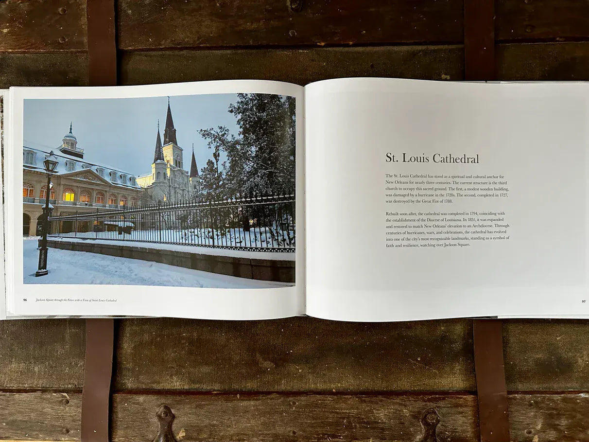 Sneaux Day Sneaux Day in New Orleans Book - Little Miss Muffin Children & Home