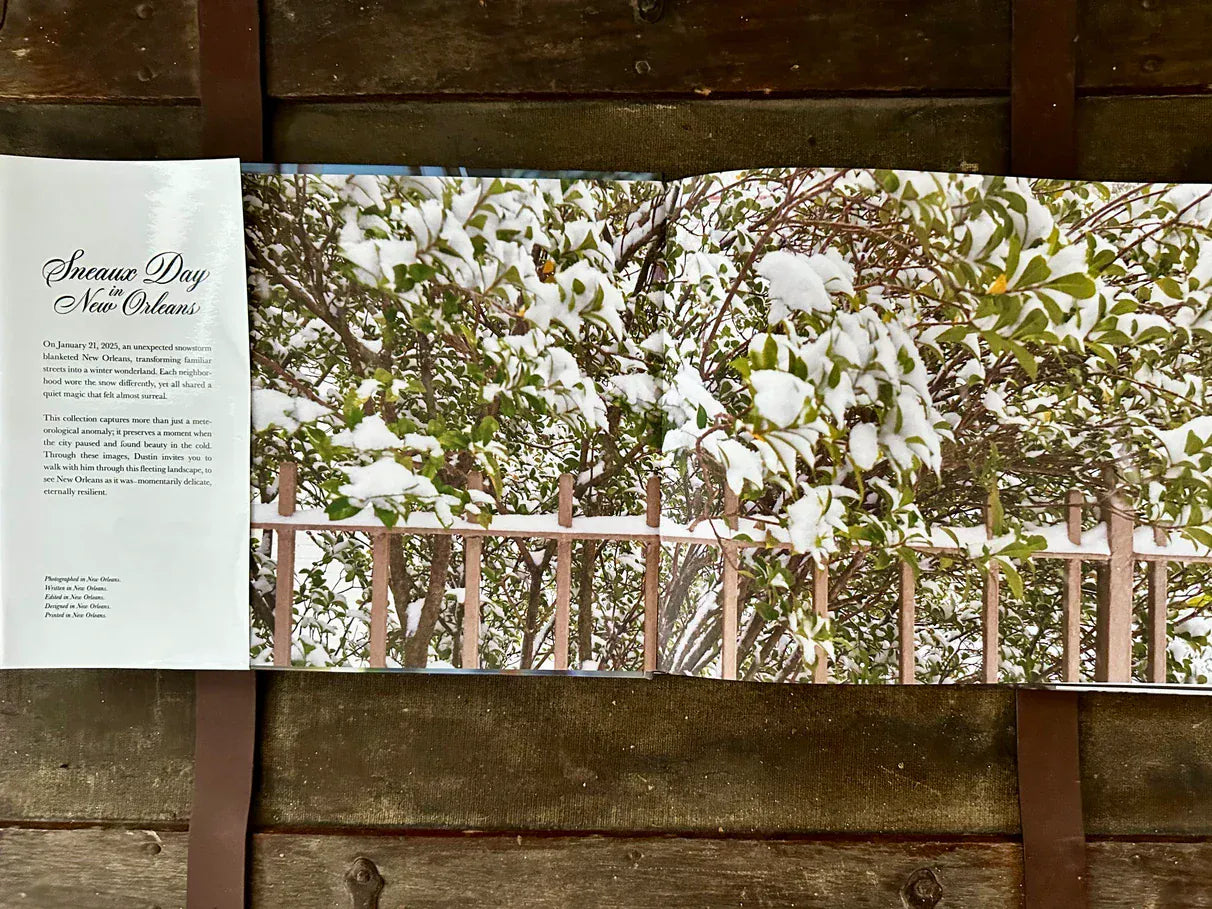 Sneaux Day Sneaux Day in New Orleans Book - Little Miss Muffin Children & Home