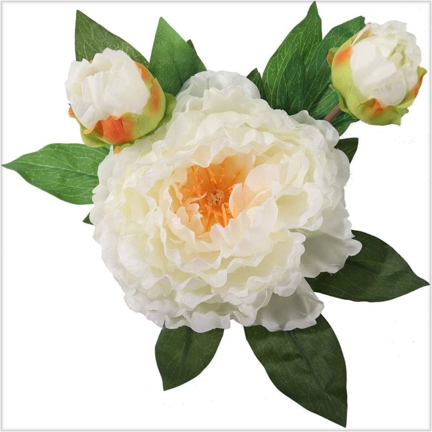 Larksilk Larksilk Silk Perennial Peonies in Glass Vase with Artificial Water - Little Miss Muffin Children & Home