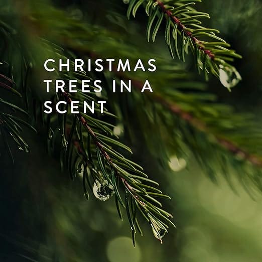 Thymes Thymes Frasier Fir Universal Tin Poured Candle, Gold Lid - Little Miss Muffin Children & Home