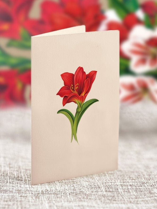 FreshCut Paper FreshCut Paper Mini Scarlett Amaryllis Pop-Up Greeting Card - Little Miss Muffin Children & Home