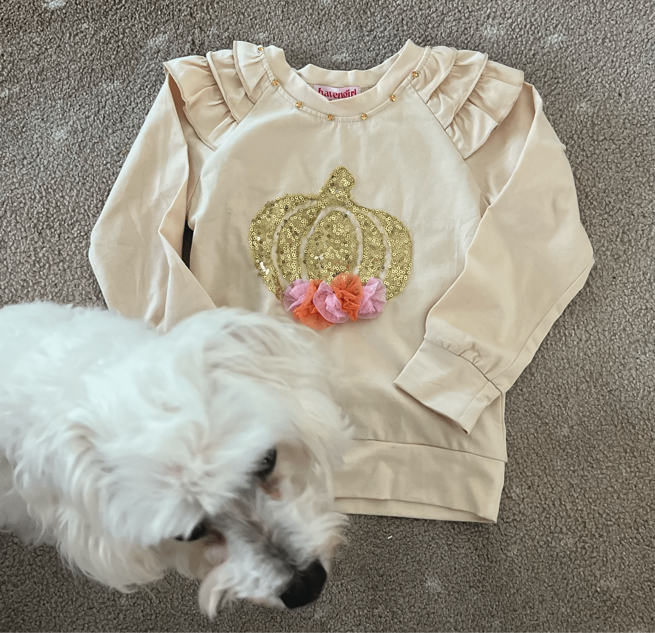 Joyous and Free Joyous and Free Pumpkin Long Sleeve Tee with Tulle and Sequins - Little Miss Muffin Children & Home