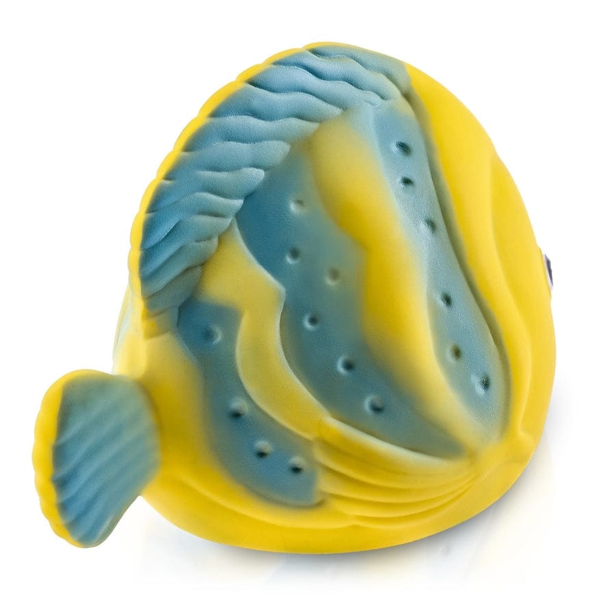CaaOcho CaaOcho La the Butterflyfish Hole Free Bath Toy - Little Miss Muffin Children & Home