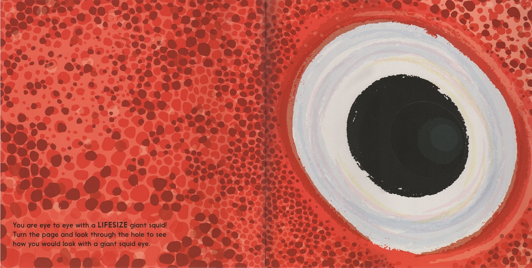 EDC Publishing Lifesize - Little Miss Muffin Children & Home