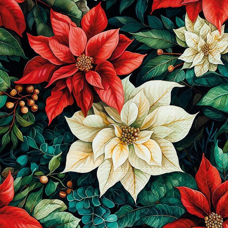 Abbott Abbott Luncheon Poinsettia on Black Napkins, 20 Pack - Little Miss Muffin Children & Home