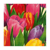 Abbott Abbott Tulip Time Cocktail Napkins, Pack of 20 - Little Miss Muffin Children & Home