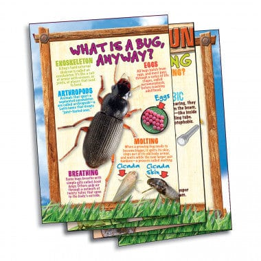 EDC Publishing Bug Playground, Insect Inspector Lab! - Little Miss Muffin Children & Home