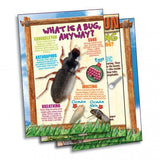 Bug Playground, Insect Inspector Lab!