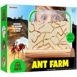 Dan&Darci Ant Farm Kit For Kids, Sand Habitat, Includes Ant Voucher